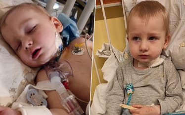 Zdjęcie główne wgrane przez użytkownika