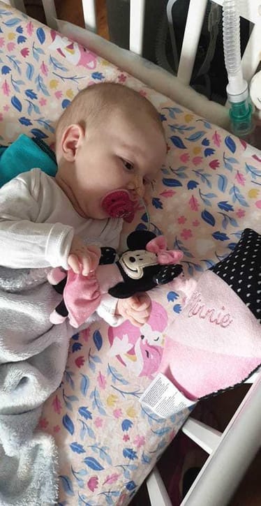 Zdjęcie główne wgrane przez użytkownika