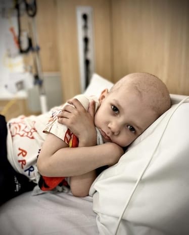 Zdjęcie główne wgrane przez użytkownika