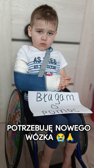 Zdjęcie główne wgrane przez użytkownika