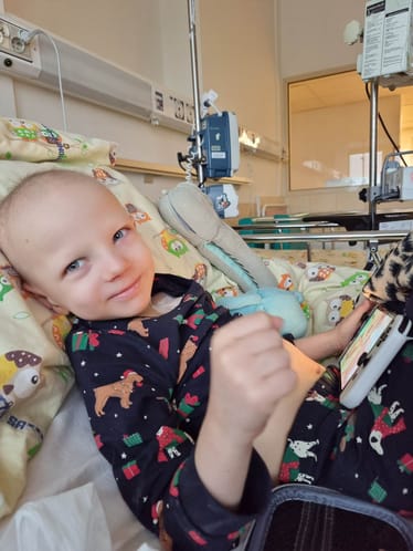 Main photo uploaded by the user