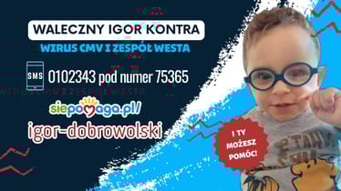 Zdjęcie główne wgrane przez użytkownika