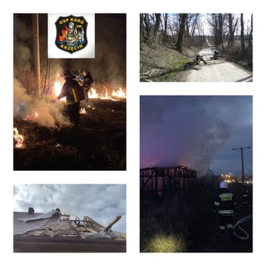 Zdjęcie główne wgrane przez użytkownika