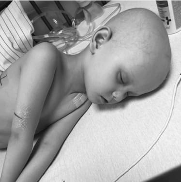 Zdjęcie główne wgrane przez użytkownika