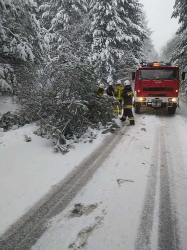 Zdjęcie główne wgrane przez użytkownika