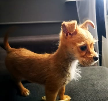 Main photo uploaded by the user