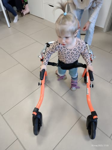 Main photo uploaded by the user