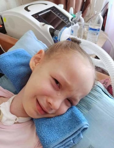 Main photo uploaded by the user