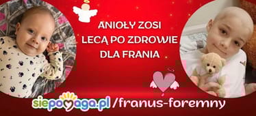 Main photo uploaded by the user