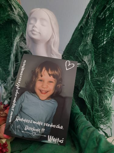 Main photo uploaded by the user