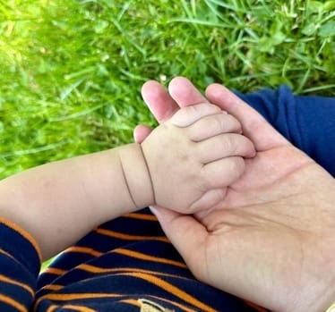 Zdjęcie główne wgrane przez użytkownika