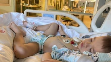 Zdjęcie główne wgrane przez użytkownika