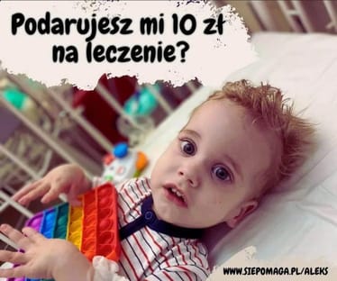 Zdjęcie główne wgrane przez użytkownika