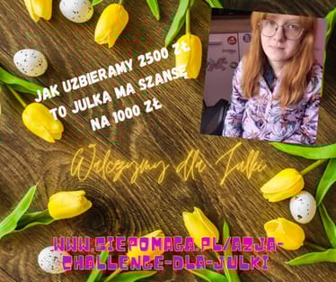 Zdjęcie główne wgrane przez użytkownika