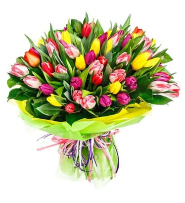 Main photo uploaded by the user