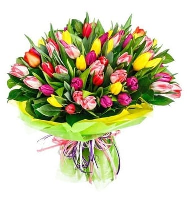 Main photo uploaded by the user
