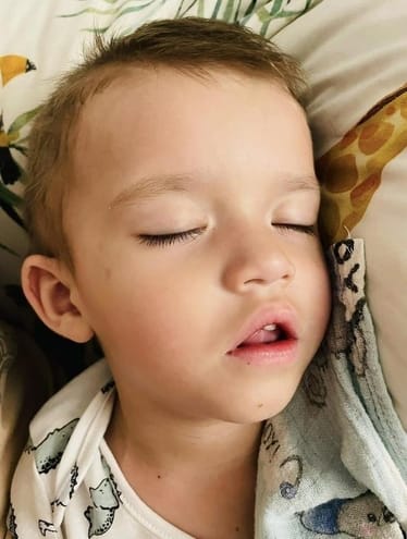 Zdjęcie główne wgrane przez użytkownika