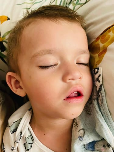 Zdjęcie główne wgrane przez użytkownika