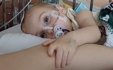 Zdjęcie główne wgrane przez użytkownika