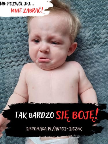 Main photo uploaded by the user