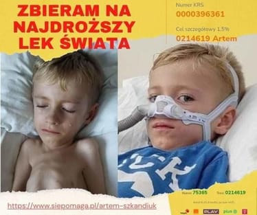 Zdjęcie główne wgrane przez użytkownika
