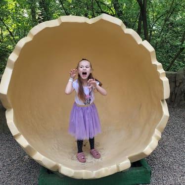 Zdjęcie główne wgrane przez użytkownika