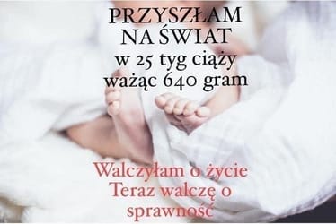 Zdjęcie główne wgrane przez użytkownika