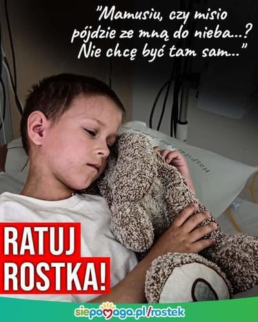 Main photo uploaded by the user