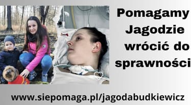 Zdjęcie główne wgrane przez użytkownika