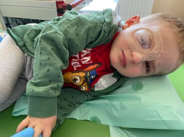 Zdjęcie główne wgrane przez użytkownika