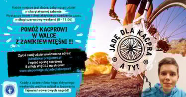 Main photo uploaded by the user