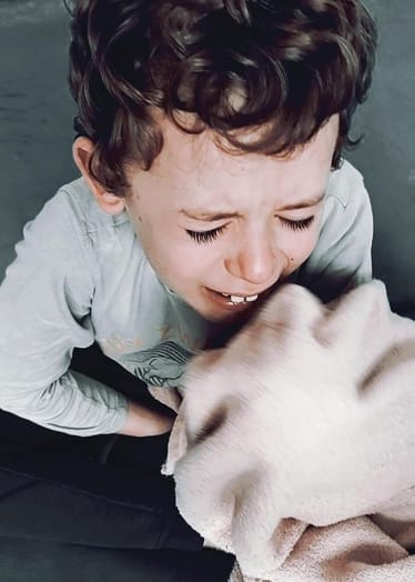 Main photo uploaded by the user