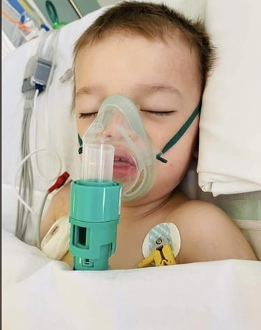 Zdjęcie główne wgrane przez użytkownika