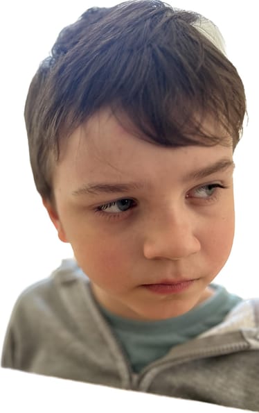 Zdjęcie główne wgrane przez użytkownika