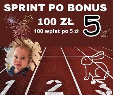 Main photo uploaded by the user