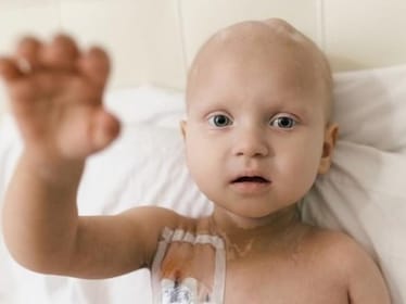 Zdjęcie główne wgrane przez użytkownika