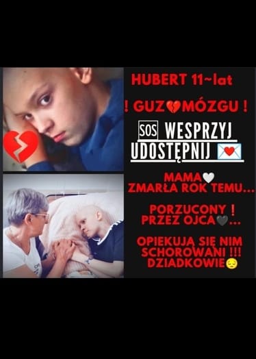 Main photo uploaded by the user