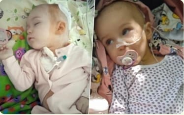 Zdjęcie główne wgrane przez użytkownika