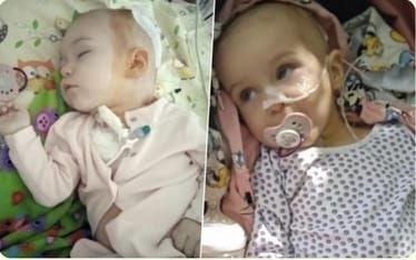 Zdjęcie główne wgrane przez użytkownika