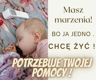 Main photo uploaded by the user