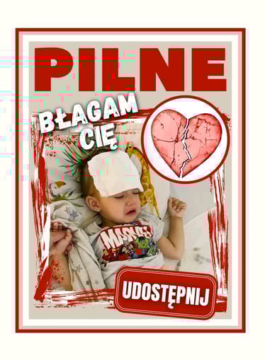 Zdjęcie główne wgrane przez użytkownika