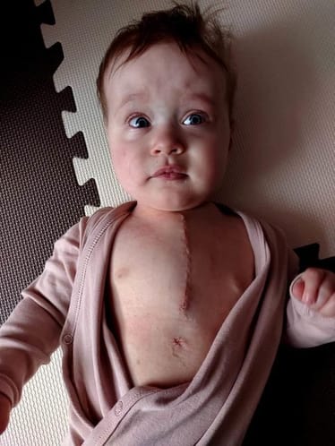 Zdjęcie główne wgrane przez użytkownika