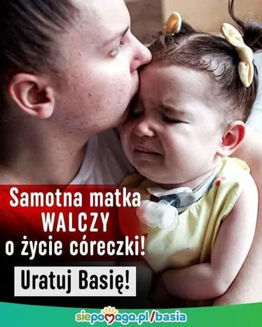 Zdjęcie główne wgrane przez użytkownika