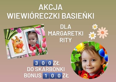 Main photo uploaded by the user