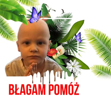 Zdjęcie główne wgrane przez użytkownika