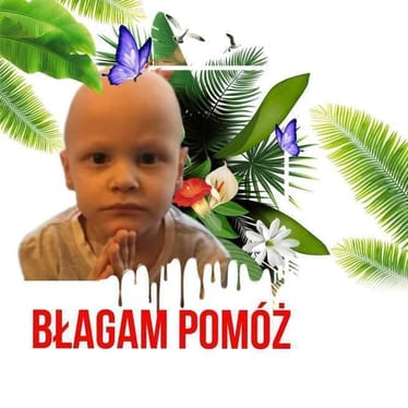 Main photo uploaded by the user