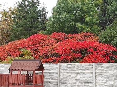 Zdjęcie główne wgrane przez użytkownika