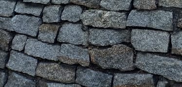 Main photo uploaded by the user