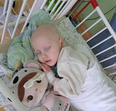 Main photo uploaded by the user