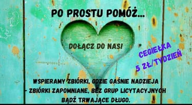 Zdjęcie główne wgrane przez użytkownika